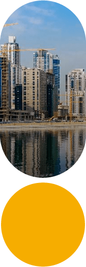 bussiness set up free zones image