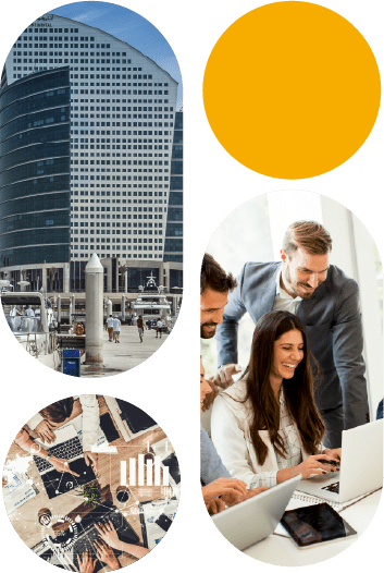 setup consultant in dubai image