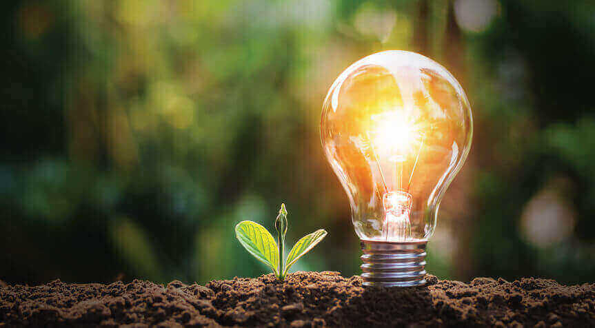 Business Setup in SRTIP